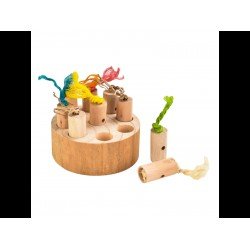 Parrot toy 905