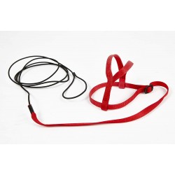 Parrot Harness M